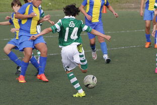 星空综合体育-逆转大师：那些让人荷尔蒙爆发的瞬间！，大逆转 ns